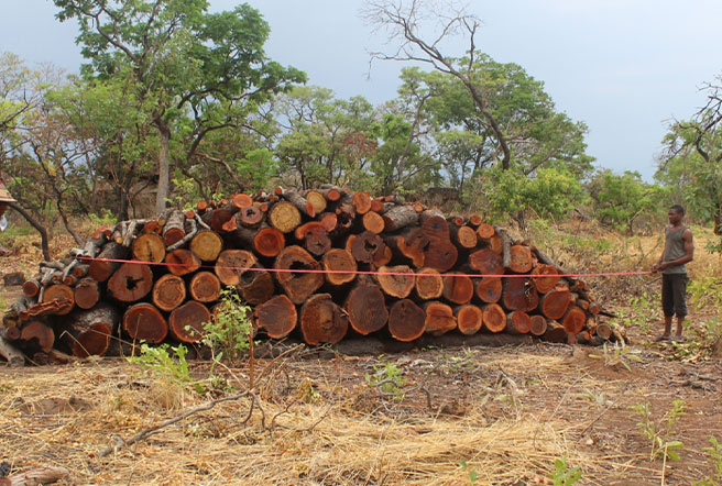 Charcoal Production Site Monitoring Service