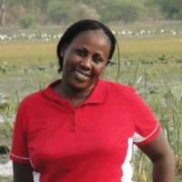 Njoki Kahiu