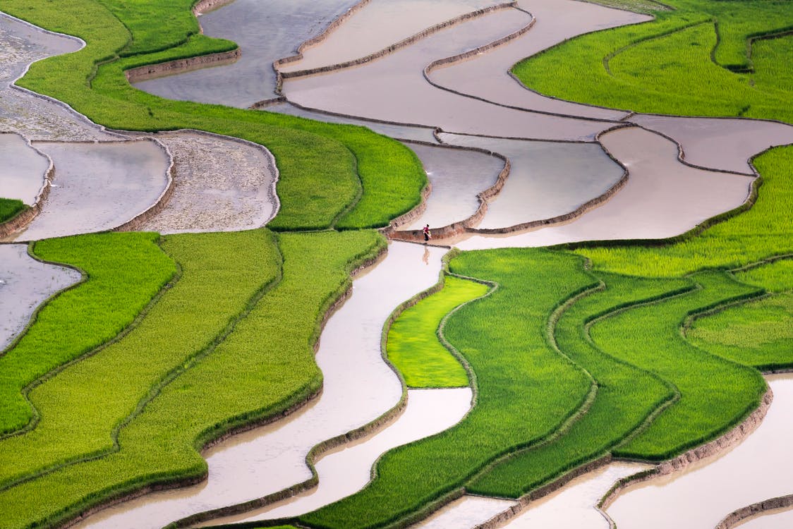 SWAT - Lower Mekong
