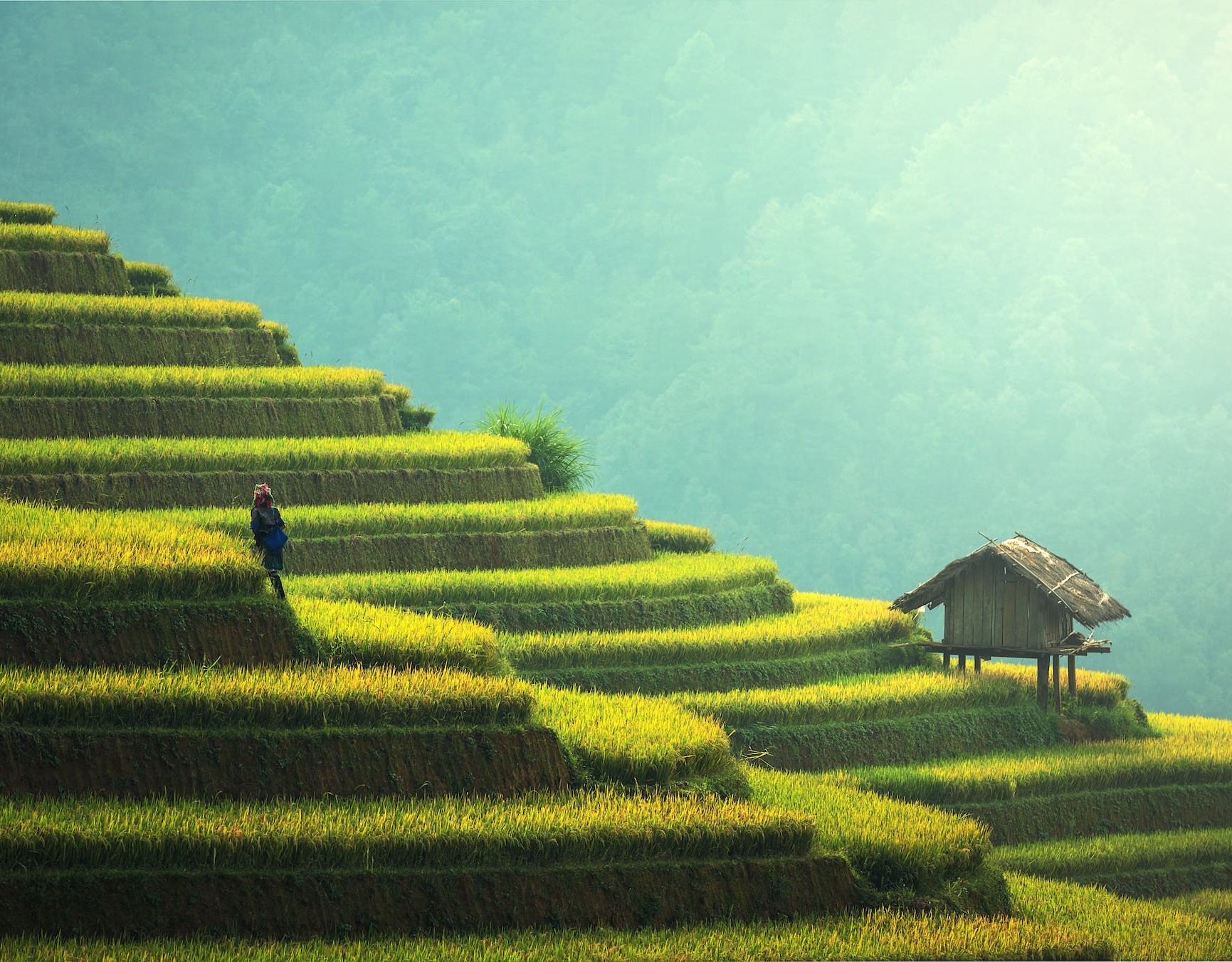 ACES: Agricultural Classification and Estimation Service